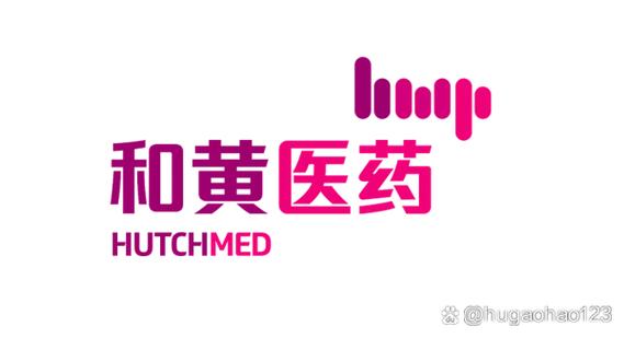 深度分析和黃醫(yī)藥在中國(guó)醫(yī)藥領(lǐng)域的投資價(jià)值 醫(yī)療投資管理視角